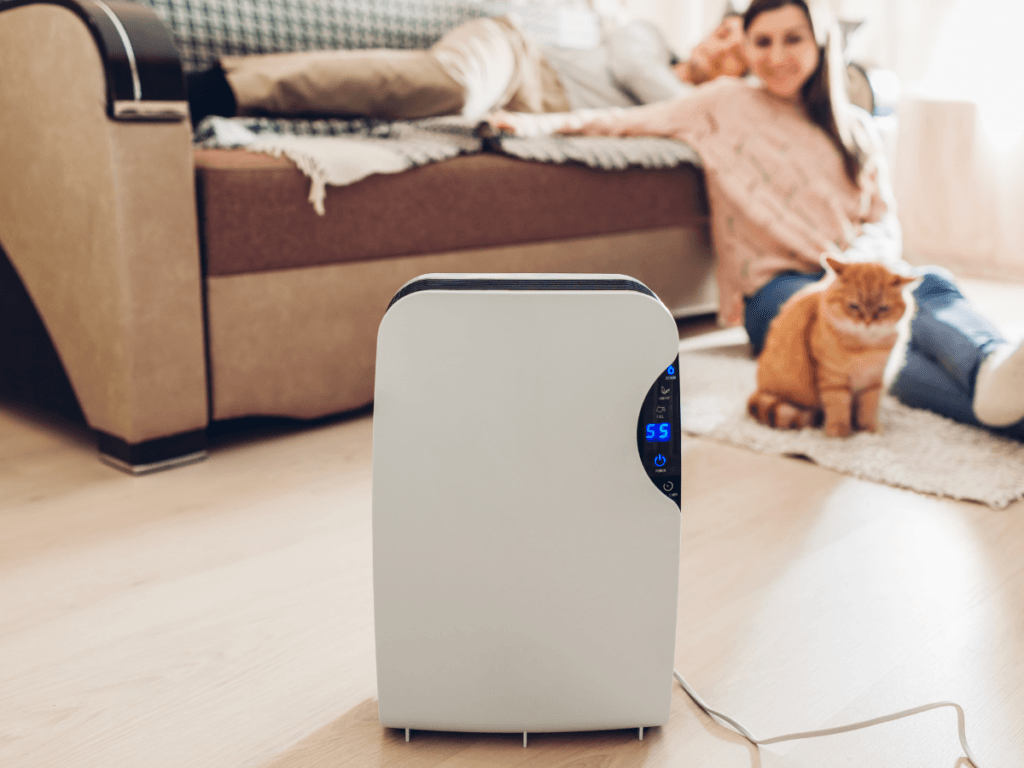 An air purifier sits on the floor in a living room, complementing the clean environment provided by a whole-home dehumidifier. A woman and an orange cat are on a rug near a couch in the background.