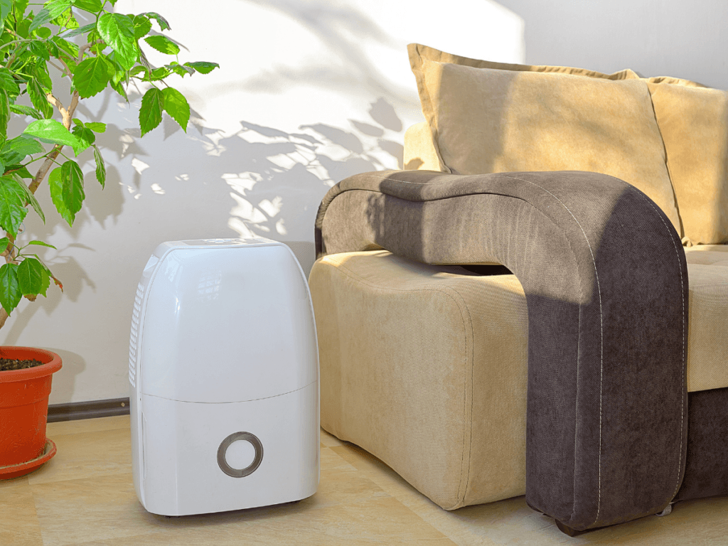 A white whole-home dehumidifier sits on the floor next to a beige sofa with brown armrests and a potted green plant in a sunlit living room.